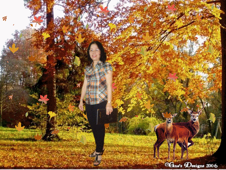 73aad99e74fff237dd77f3f8eabab254_we